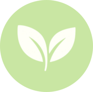 Otrolig Onsdag – raw food, hälsa, näring, mat, rörelse och välmående i Amaelle Life